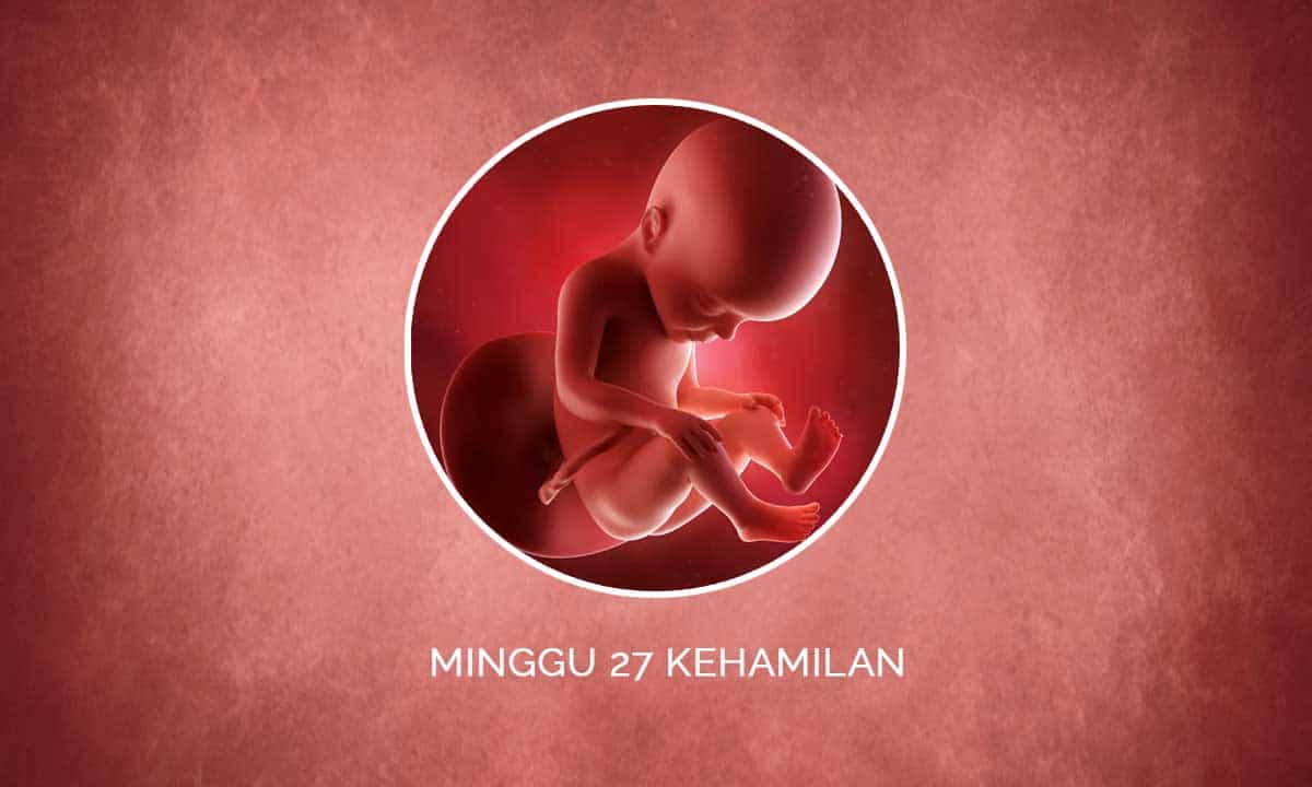 Perkembangan Janin 27 Minggu Kehamilan - Perubahan Ibu & Bayi 1