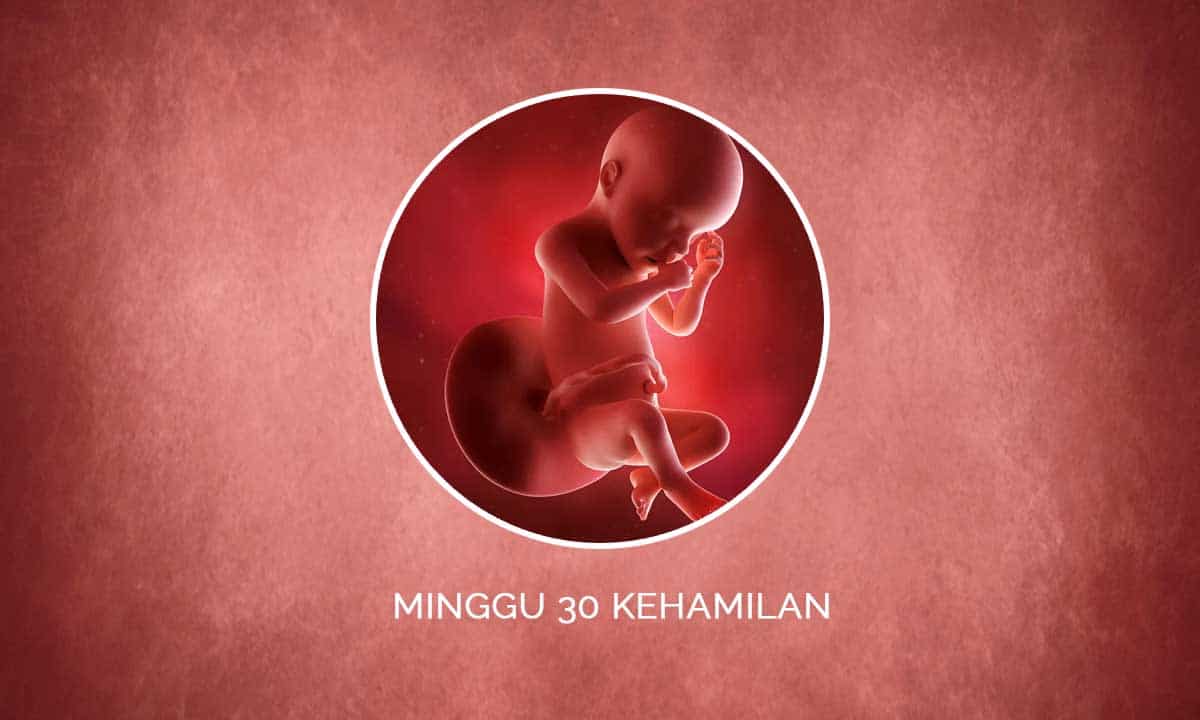 Perkembangan Janin 30 Minggu Kehamilan - Perubahan Ibu & Bayi 1