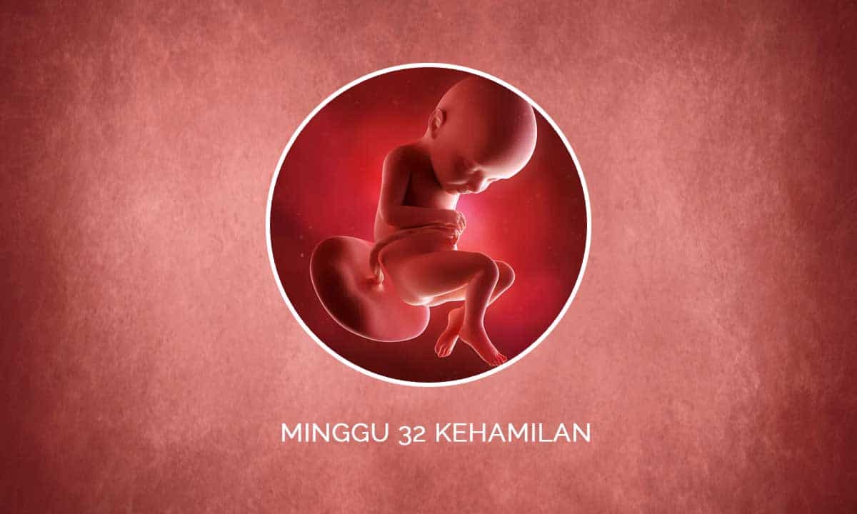 Perkembangan Janin 39 Minggu Kehamilan - Perubahan Ibu & Bayi 5