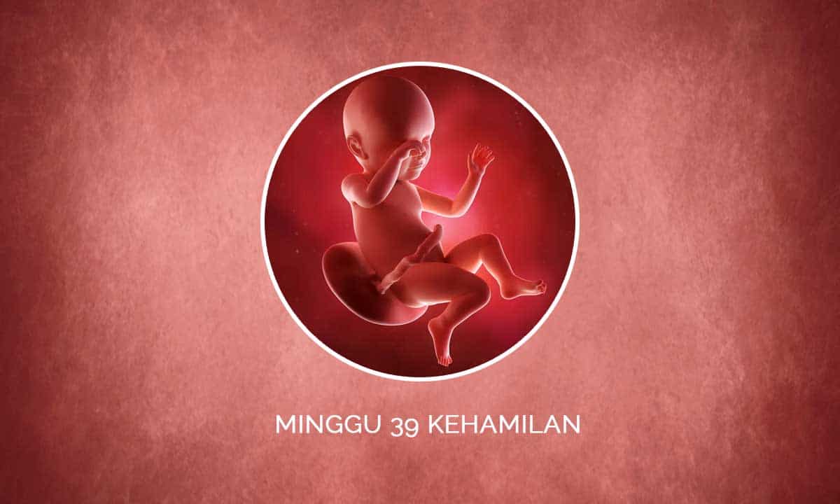 Perkembangan Janin 39 Minggu Kehamilan - Perubahan Ibu & Bayi 1